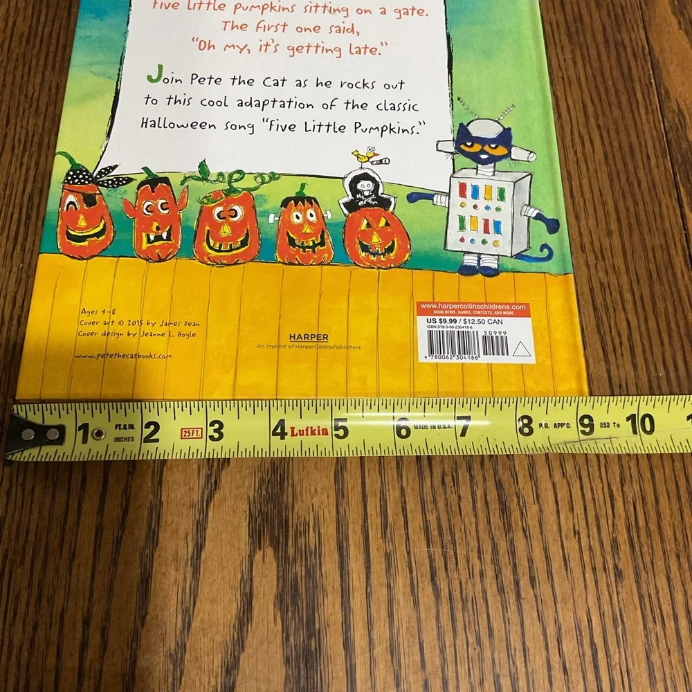 Very busy spider 🕷️ very clumsy click beetle 🪲 & 5 little pumpkins 🎃 Halloween